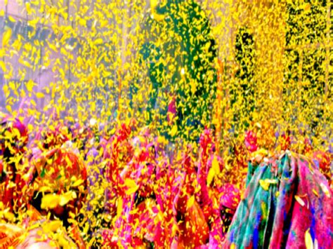 Why Holi Of Flowers Is Played On Phulera Dooj Know How To Reach Barsana