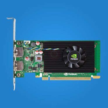 Buy NVIDIA NVS 310 1GB Graphics Card Online Free Shipping