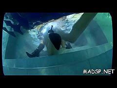 Fun Sex Party With Hot Honeys Xxx Mobile Porno Videos Movies IPornTV Net