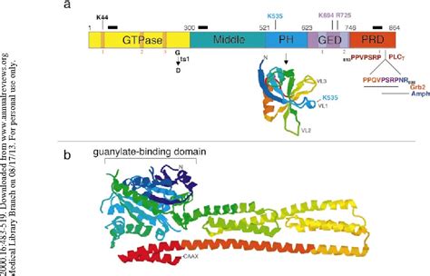 Figure From Dynamin And Its Role In Membrane Fission Semantic Scholar