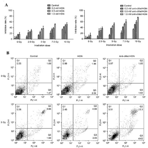 The Inhibition And Apoptosis Rates Of Each Group A The Inhibition