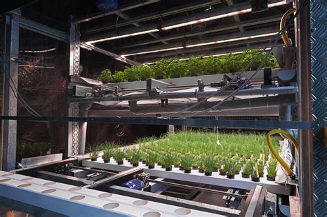 Indoor Farming: Exploring Modern Techniques and Innovations