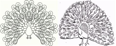 Beautiful Peacocks Coloring Pages Coloring Pages