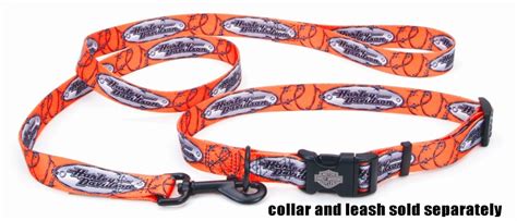 Harley Davidson NEW STYLE Tagged Barbed Wire Dog Collar or Leash | eBay