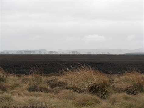 Peat denuded blanket bog | Biosciences Investigative Group Projects ...