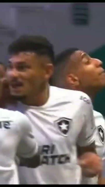 Gol Do Bota Fogo Contra O Palmeiras Tiquinho Soares Palmeiras 0 X 1