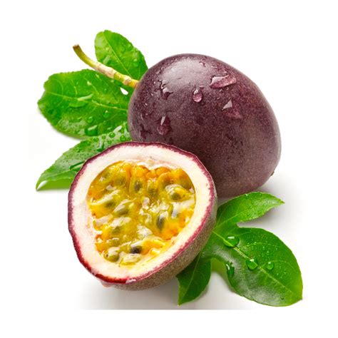 “passion Fruit” Farming Guide Oxfarm