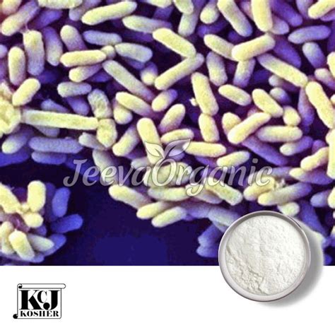 Affordable Probiotics Supplier With all certificates | JeevaOrganic