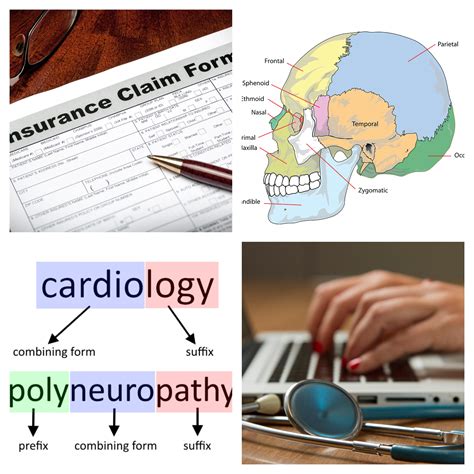 Average Hourly Pay for Certified Medical Billing and Coding Specialists 11
