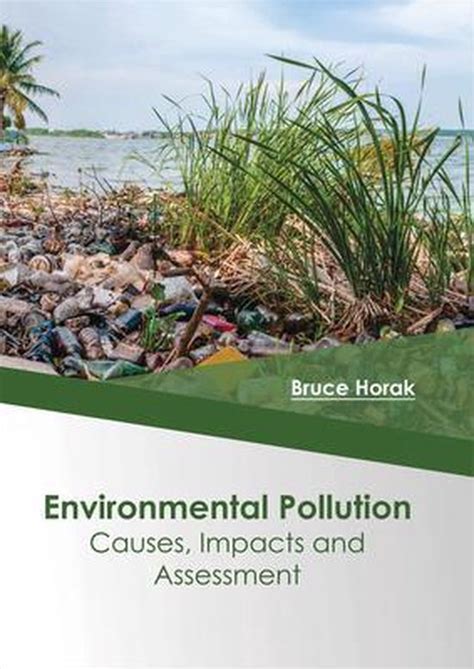 Environmental Pollution Causes Impacts And Assessment