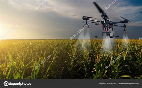 Drone Precision Agriculture Ppgbbe Intranet Biologia Ufrj Br