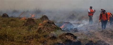 Incendio forestal destruye casi 6 mil hectáreas en Argentina