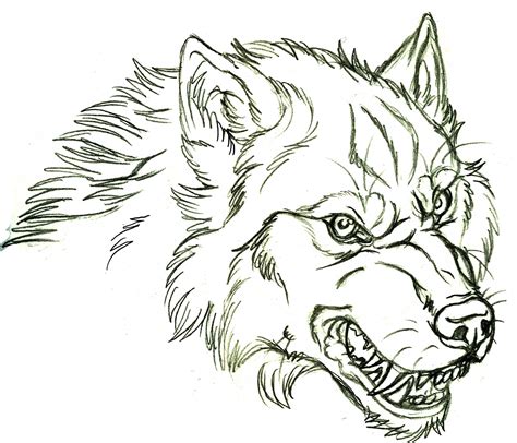 How To Draw A Wolfs Head Drawing Word Searches