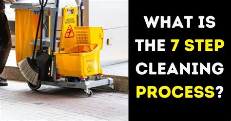 What Is The 7 Step Cleaning Process For Stains Cleanservant