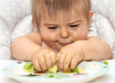 C Mo Preparar Aguacate Para Beb S Recetas F Ciles