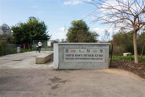 JNF