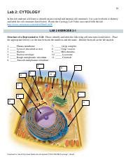 Cytology Pdf Lab Cytology In This Lab Students Will Learn To