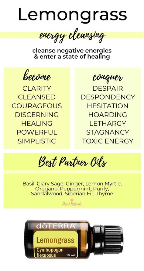 30 Benefits And Ways To Use Lemongrass Essential Oil Diffuser Blends Lemongrass Essential