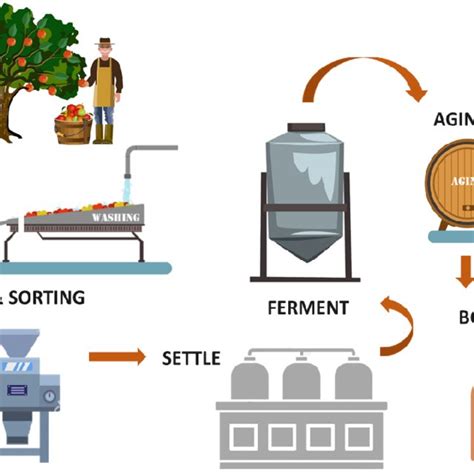 Main steps of the cider-making process. | Download Scientific Diagram