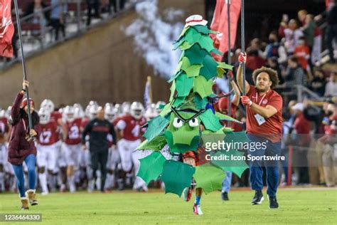 Stanford Cardinal Mascot Photos and Premium High Res Pictures - Getty ...