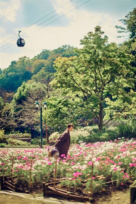 秋の人気フォトスポット「コスモス畑」が間もなく見ごろです。昼は鮮やかに彩るお花畑。夕方には夕陽に透ける花々が演出する情緒あふれる空間へ。神戸の