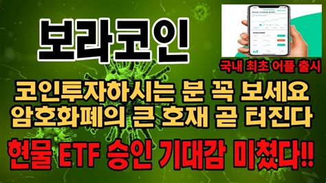 보라코인 코인주가전망 코인대응전략 코인매수타이밍 코인목표가 앞으로의 전략은 Youtube