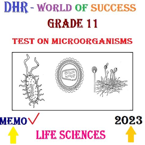 GRADE 11 LIFE SCIENCE TEST ON MICROORGANISMS AND MEMORANDUM 2023