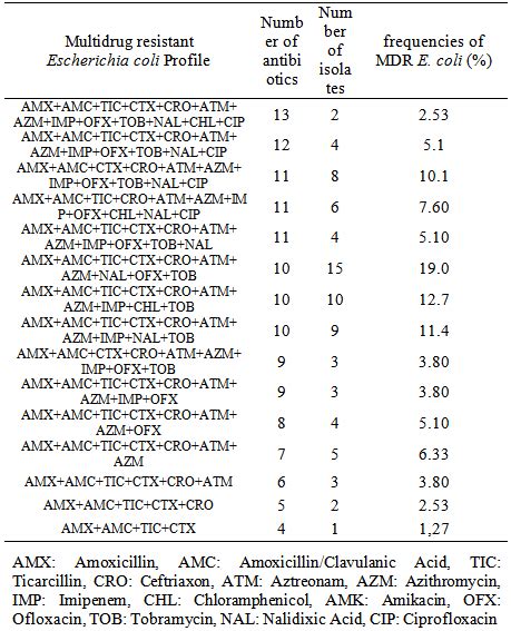 Antimicrobial Resistance Pattern Of Escherichia Coli Strains Isolated