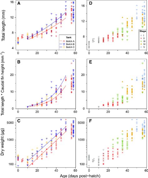 Total Length Tl Mm Ratio Of Total Length And Height At Caudal Fin Download Scientific