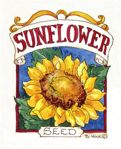 Seed Packet Drawing