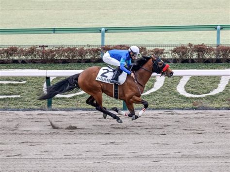 【メイクデビュー東京4rレース後コメント】シークレットマター杉原誠人騎手ら 競馬ニュース Netkeiba