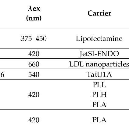 PMO Synthesis And SiRNA Loading For Cancer Cell Internalization And