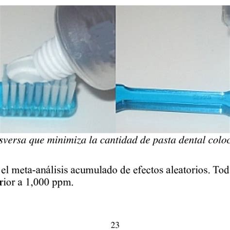 A “ Pea Size ” Amount Of Toothpaste The Quantity Of Download Scientific Diagram