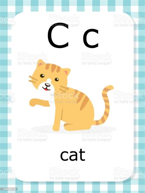 Letter C Vocabulary Flash Cards Flashcards Alphabet Pictures