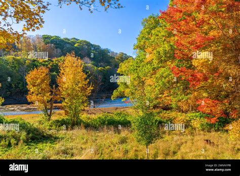 Fall foliage color near Bear river, Nova Scotia, Canada Stock Photo - Alamy