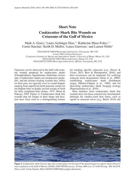 (PDF) Cookiecutter Shark Bite Wounds on Cetaceans of the Gulf of Mexico