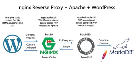 How To Configure Nginx Reverse Proxy Wordpress Cache For Apache