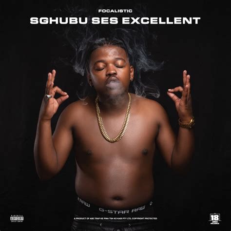 ‎Sghubu Ses Excellent - Album by Focalistic - Apple Music