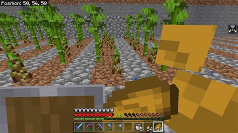 Bamboo Farm Hardcore Minecraft YouTube