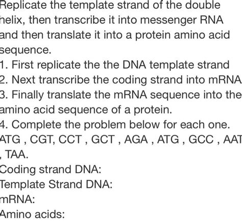 Solved Replicate The Template Strand Of The Double Helix Chegg