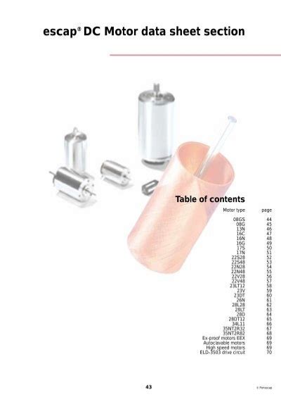 Escap DC Motor Data Sheet Section