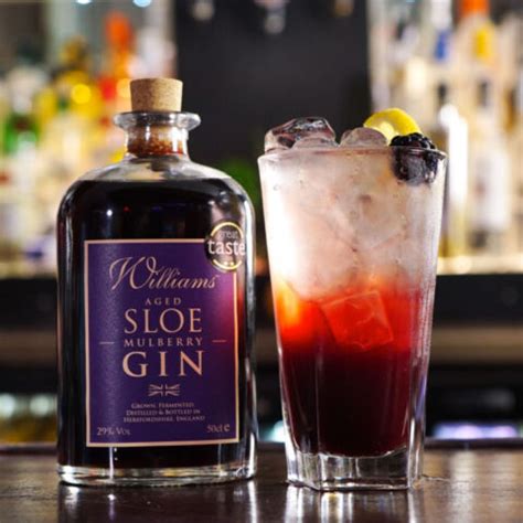 10 Best Sloe Gin Cocktails To Drink MyBartender