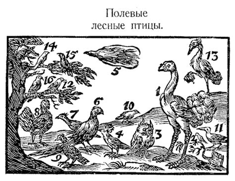 Jan Amós Komensky «Мир чувственных вещей в картинках» — Картинки и ...