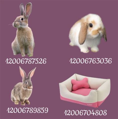 Bloxburg Pets Id Bloxburg Decal Codes Pic Code House Decals