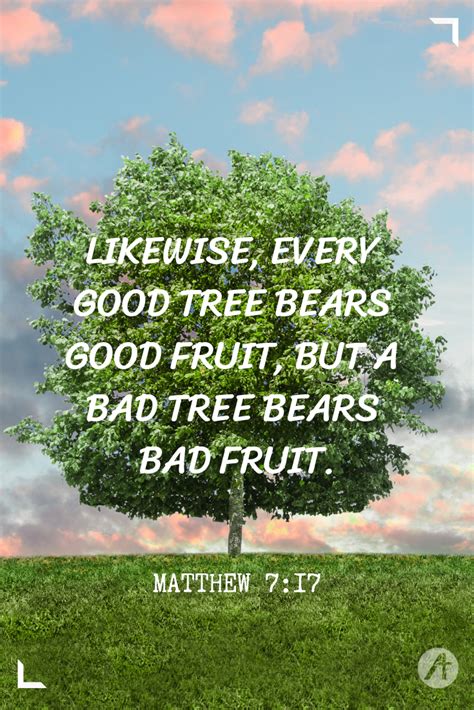 Likewise Every Good Tree Bears Good Fruit But A Bad Tree Bears Bad