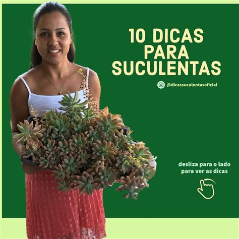 Dicas Suculentas Oficial On Instagram Desliza Para O Lado Para Ver As