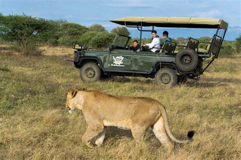 Jabulani Safari, Kapama Reserve, Kruger Park - Cedarberg Africa