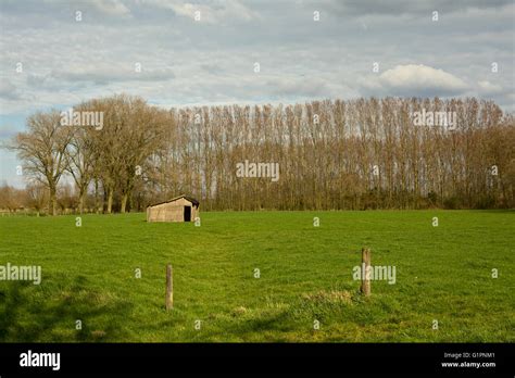 Felmish Hi Res Stock Photography And Images Alamy