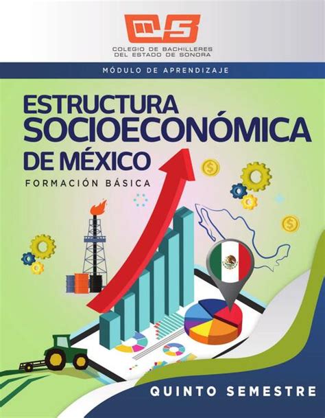 Estructura Socioeconómica De México Librito Financiero Udocz