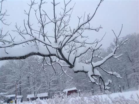 Homesteading And The Single Gay Man